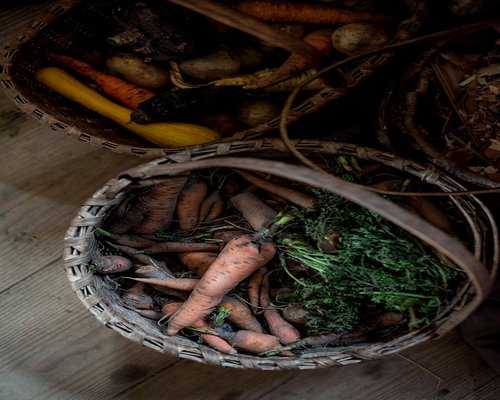 Fresh organic carrots stacked on a rustic basket under soft daylight